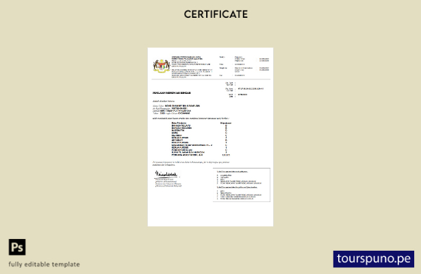 Plantilla de certificado del Ministerio de Educación de Malasia lista para impri